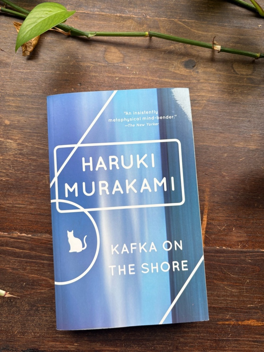 Kafka on the Shore softcover book by Haruki Murakami